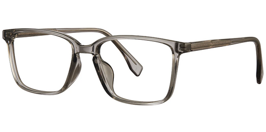 Rechteckiger Acetatrahmen F6153