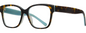 Acetate Square Frame F7677