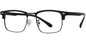 Browline Frame F8099